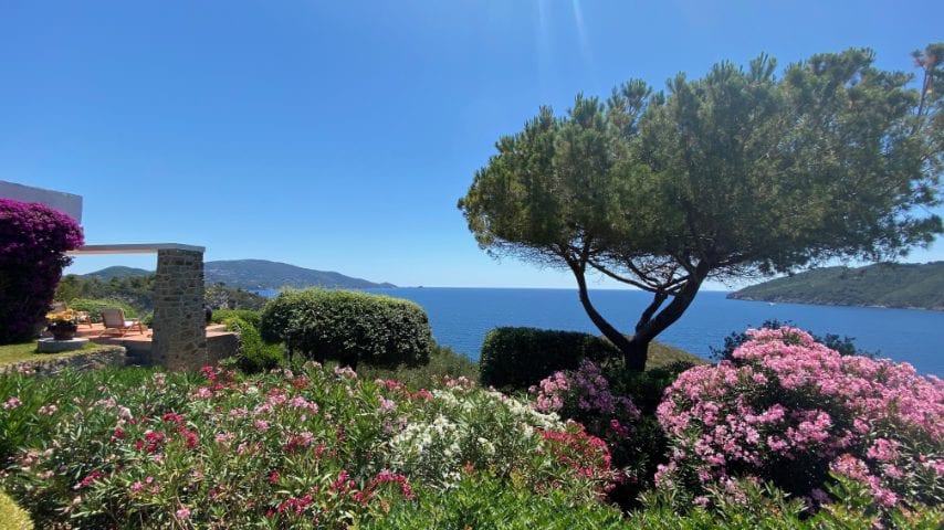 Foto di Stefano Govi