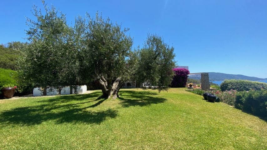 Foto di Stefano Govi