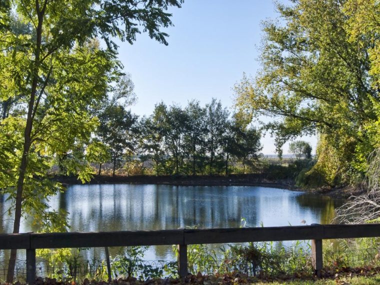 Un excursus in una serie di meravigliosi laghetti nel Polesine dove è possibile avvistare varie specie di animali