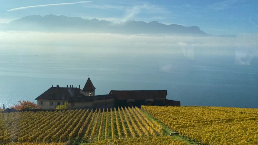 Foto di Stefano Govi