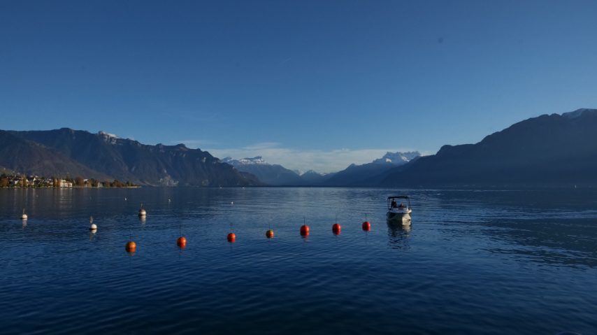 Foto di Stefano Govi