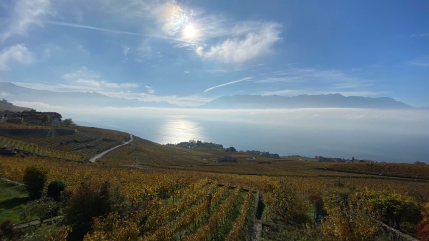 Foto di Stefano Govi