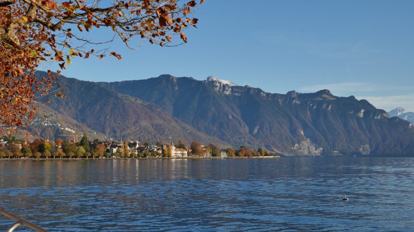 Foto di Stefano Govi