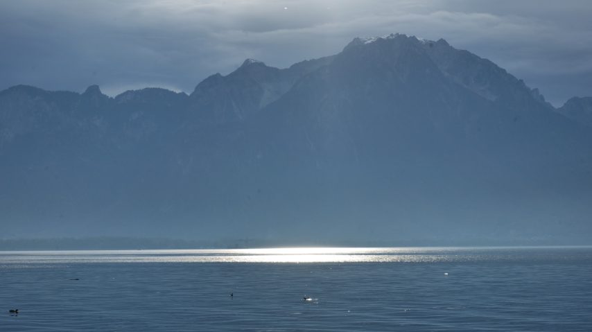 Foto di Stefano Govi