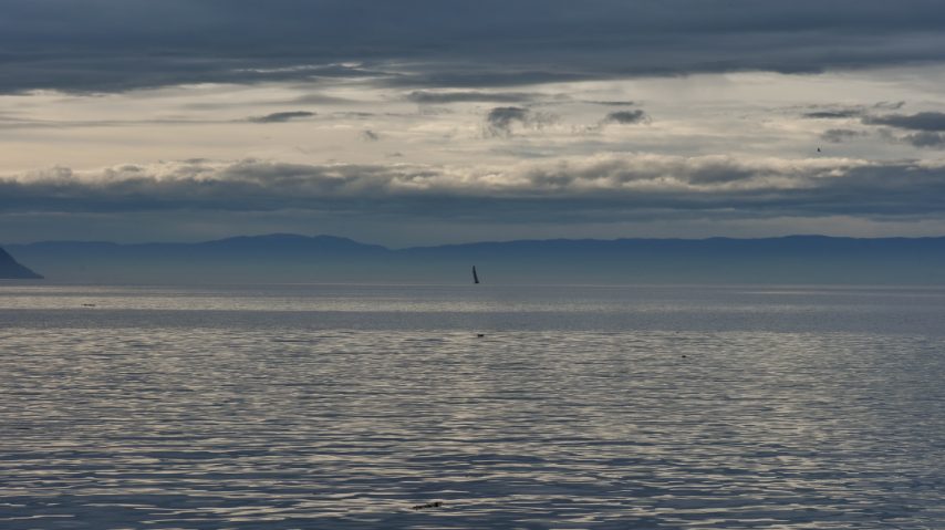 Foto di Stefano Govi