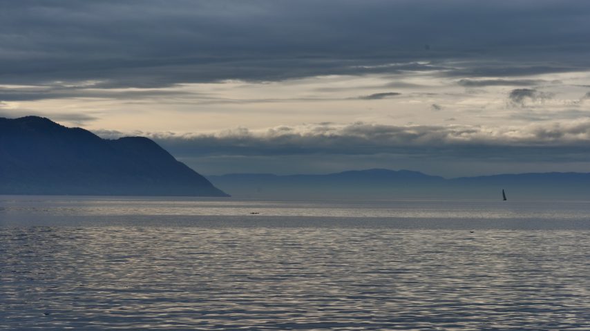 Foto di Stefano Govi