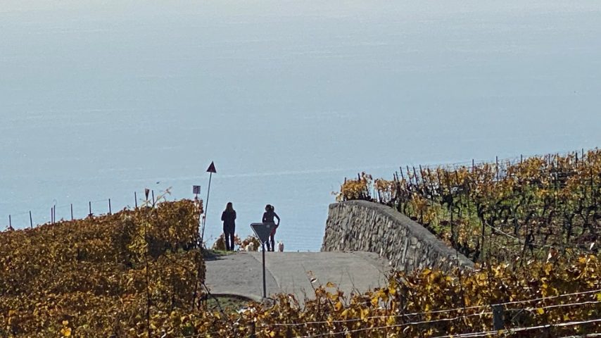 Foto di Stefano Govi