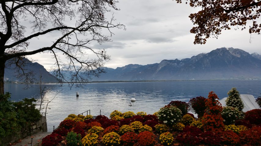 Foto di Stefano Govi