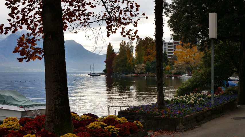 Foto di Stefano Govi