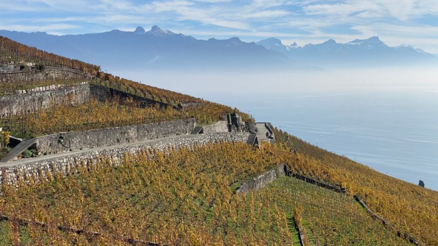 Foto di Stefano Govi