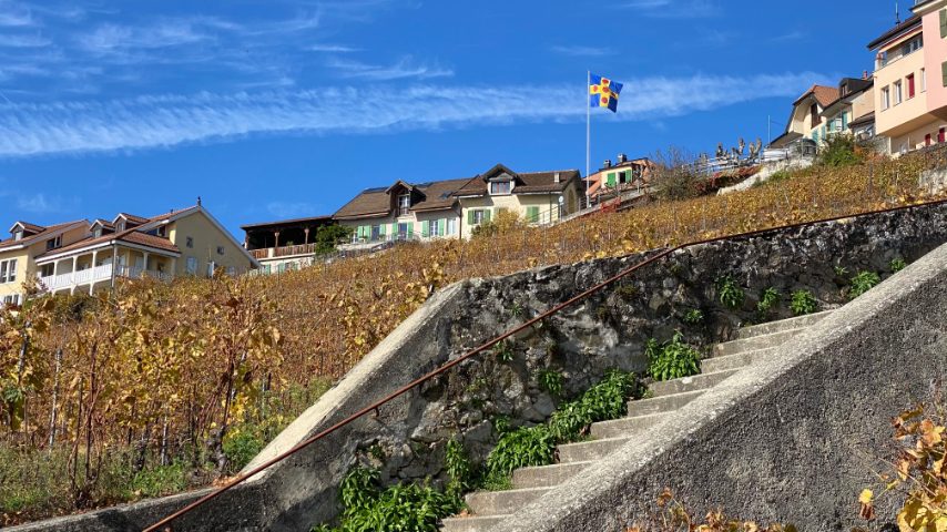 Foto di Stefano Govi