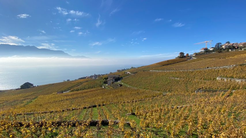 Foto di Stefano Govi