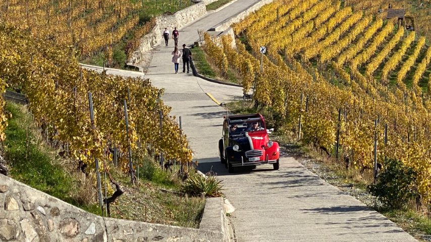 Foto di Stefano Govi