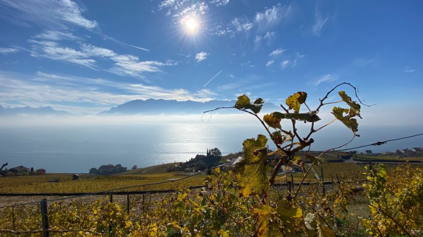 Foto di Stefano Govi