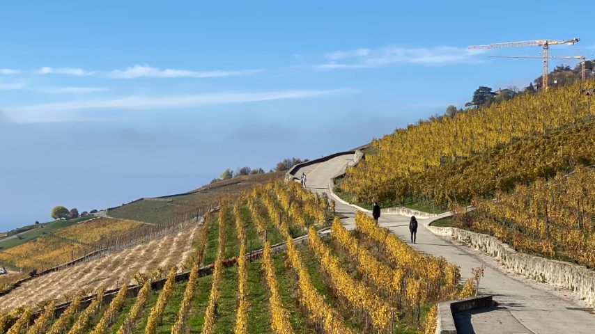 Foto di Stefano Govi