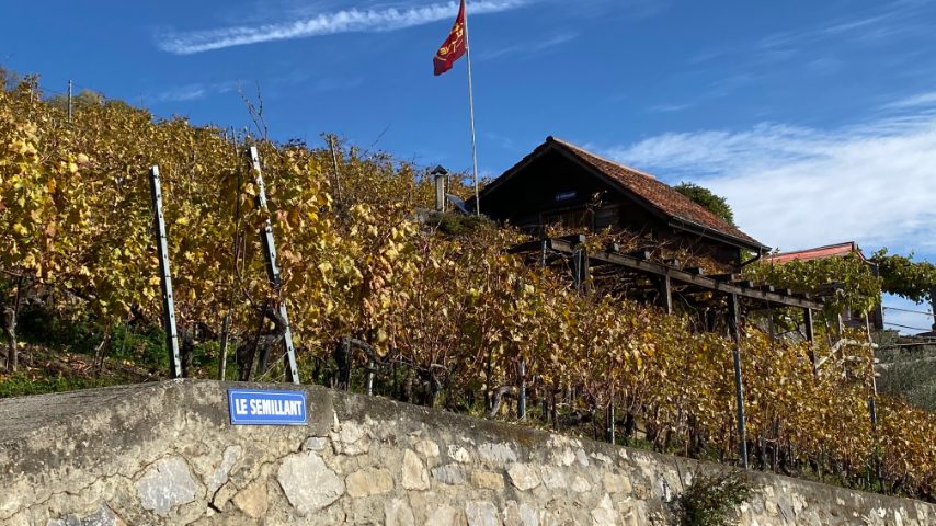 Foto di Stefano Govi