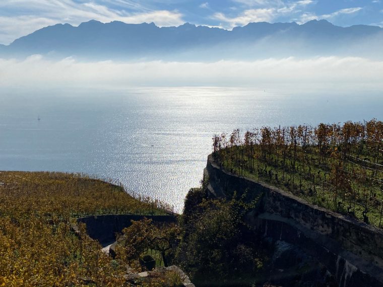 Foto di Stefano Govi