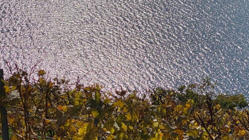 Foto di Stefano Govi