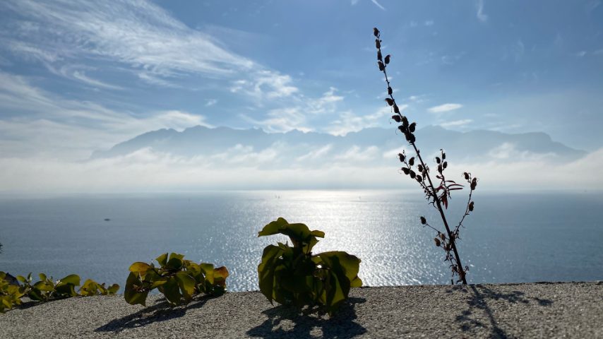 Foto di Stefano Govi