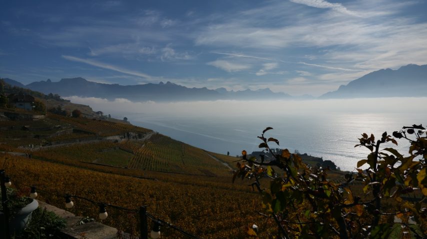 Foto di Stefano Govi