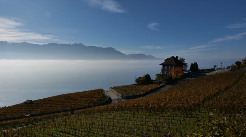 Foto di Stefano Govi