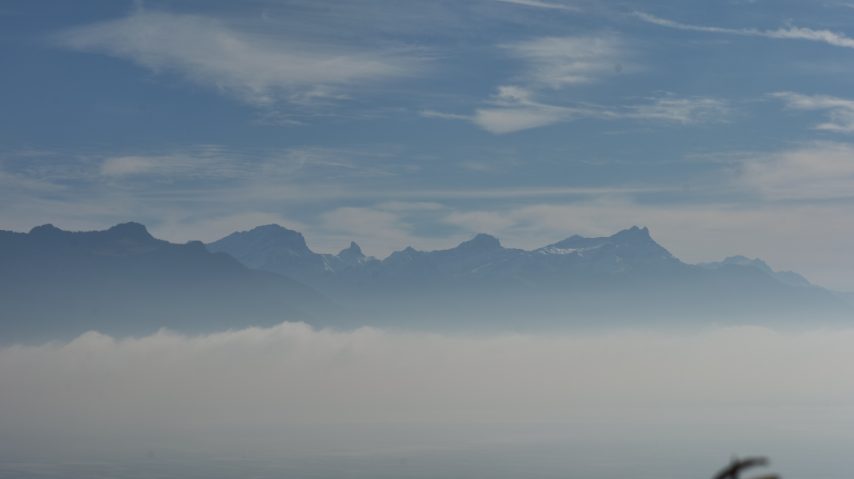 Foto di Stefano Govi