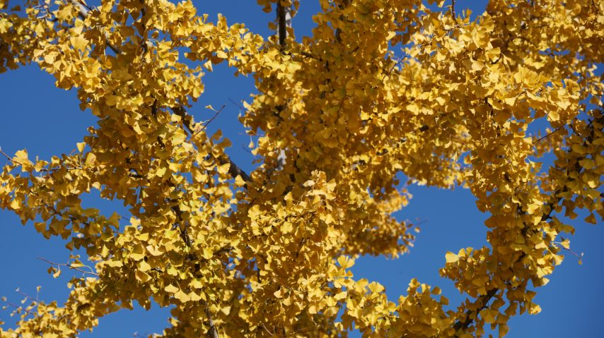 Foto di Stefano Govi