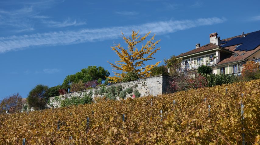 Foto di Stefano Govi