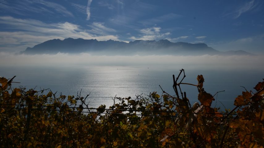 Foto di Stefano Govi