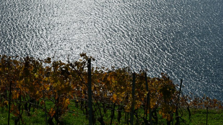 Foto di Stefano Govi