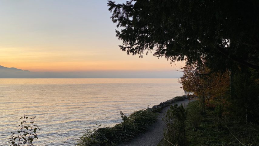 Foto di Stefano Govi