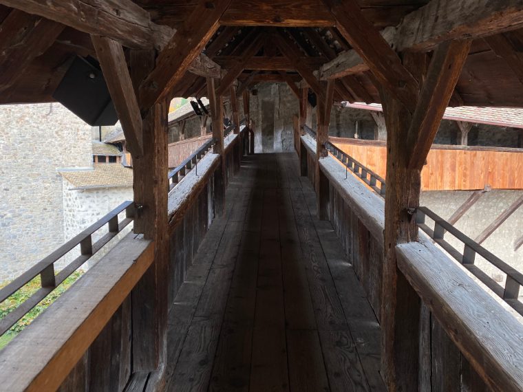 Foto di Stefano Govi