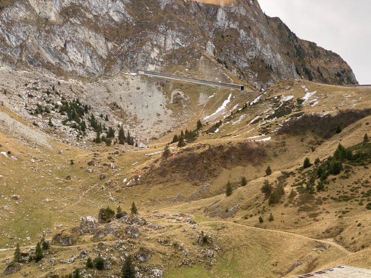 Foto di Stefano Govi