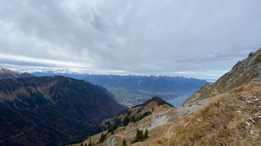 Foto di Stefano Govi