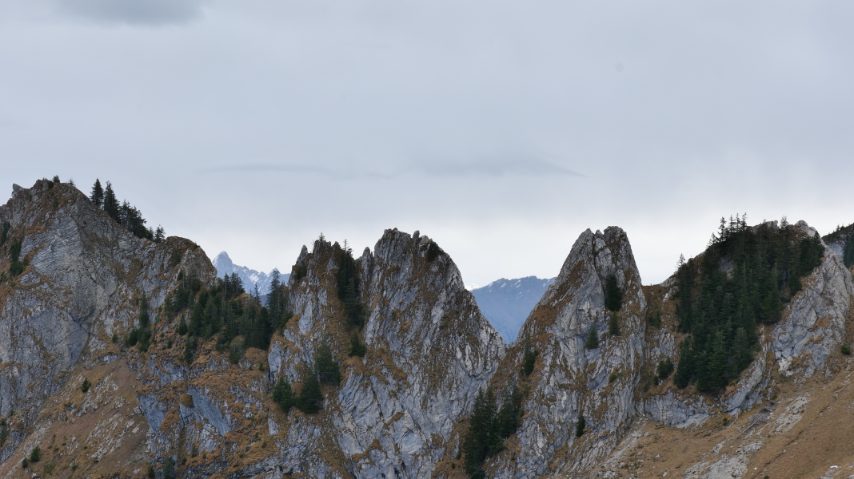 Foto di Stefano Govi