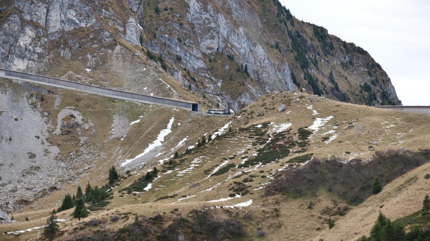 Foto di Stefano Govi