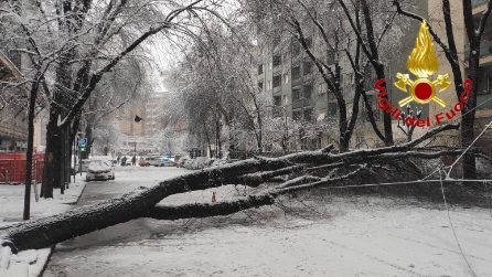 Alberi caduti e strade bloccate: a Milano danni e disagi per la nevicata