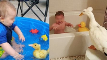 Sin da piccoli hanno fatto il bagnetto insieme: sono cresciuti e sono diventati inseparabili