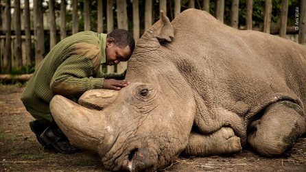 I vincitori del Wildlife Photographer of the Year