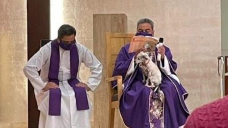 Non lo vuole lasciare solo: il prete dice la messa con il cane sulle ginocchia