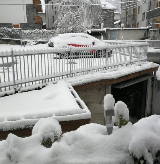 Fonte: https://www.instagram.com/ninasherpadog/