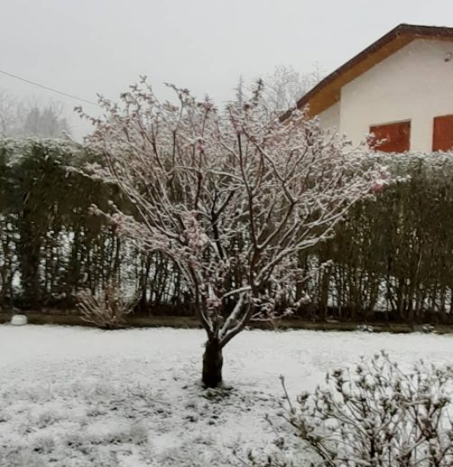 Fonte: https://www.instagram.com/p/CNrMsxugZ3W/