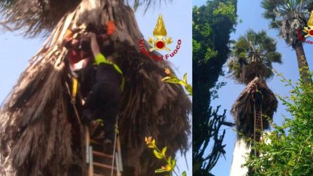 Resta appeso a testa in giù a 12 metri da terra, uomo salvato con un elicottero