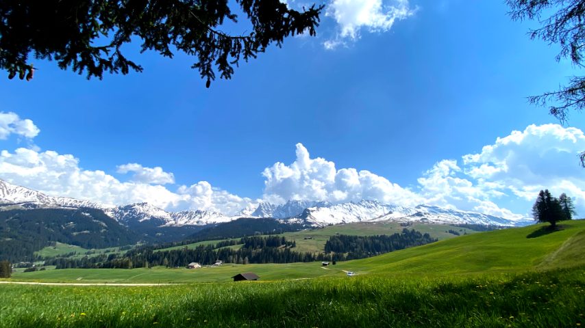 Foto di Stefano Govi