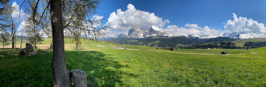 Foto di Stefano Govi