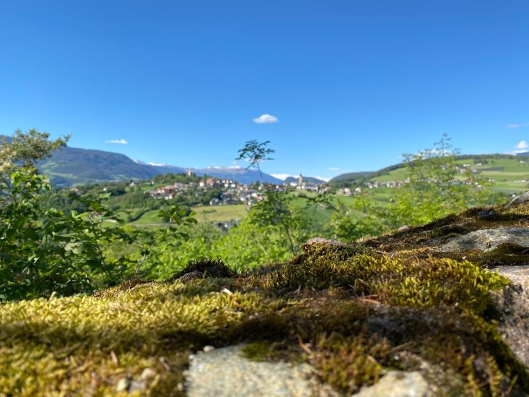 Foto di Stefano Govi