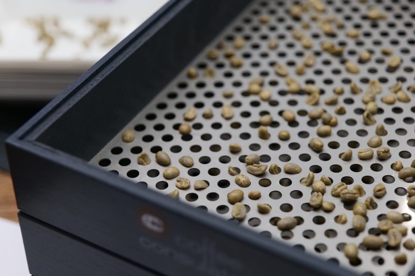 Caroma Foto di Stefano Govi