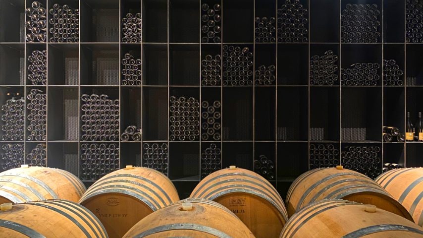 Maso Gump Foto di Stefano Govi