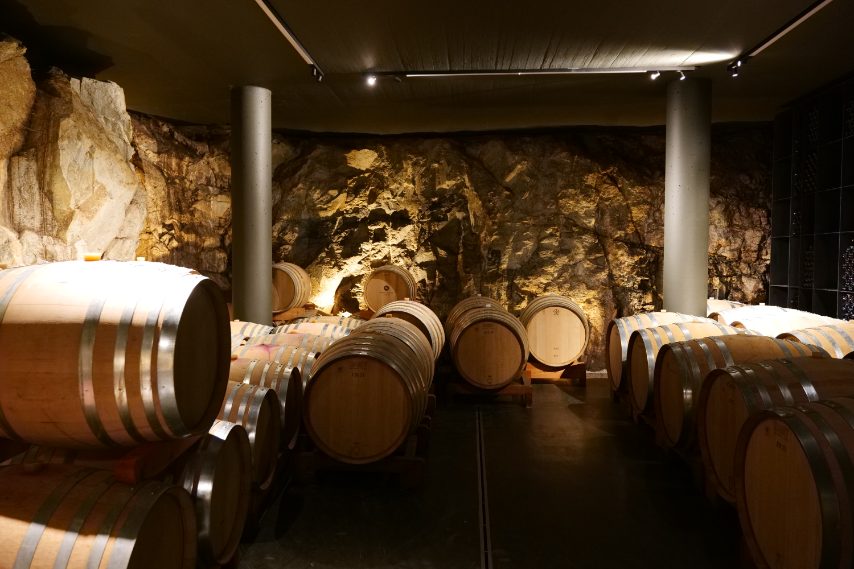 Maso Gump Foto di Stefano Govi