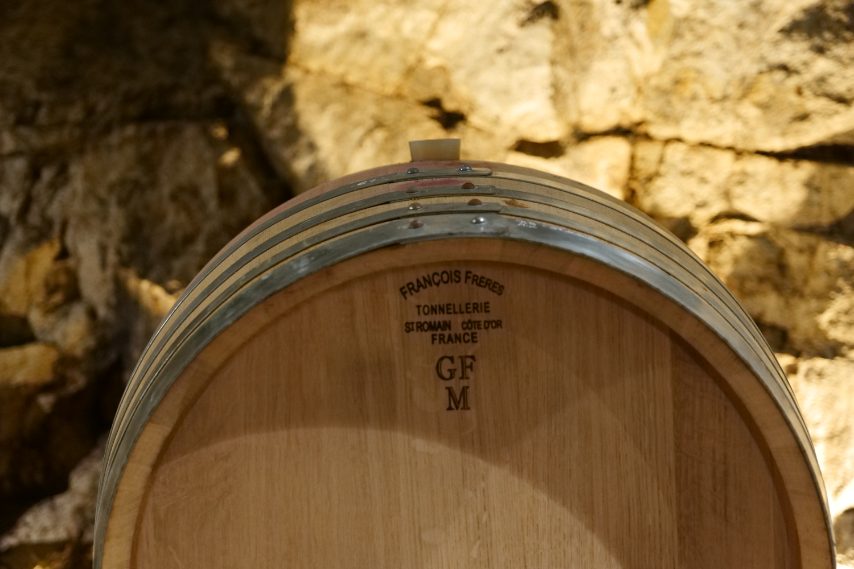 Maso Gump Foto di Stefano Govi